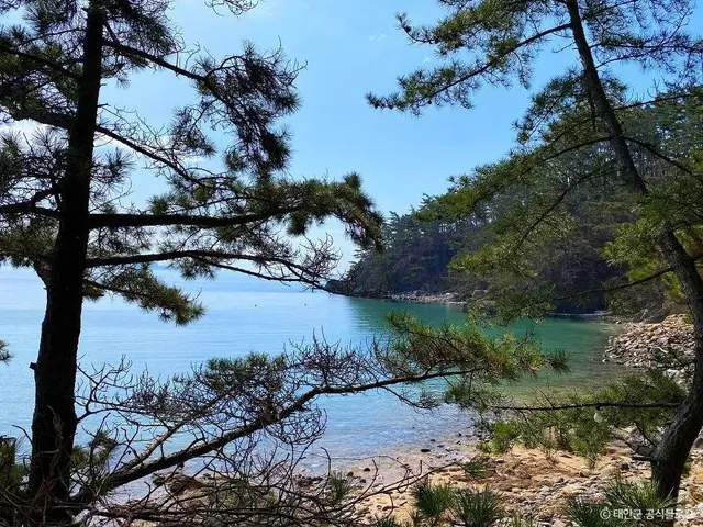 꾸지나무골해수욕장 사진