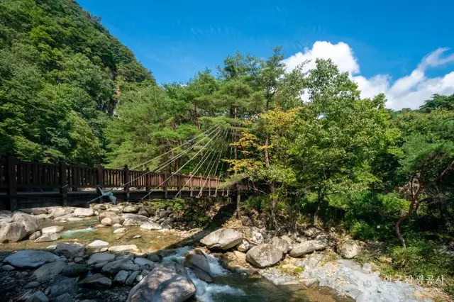 홍류동계곡 사진