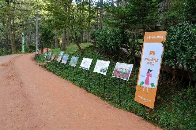 계족산 황톳길 사진