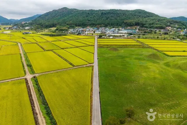 나주 복암리 고분군 사진