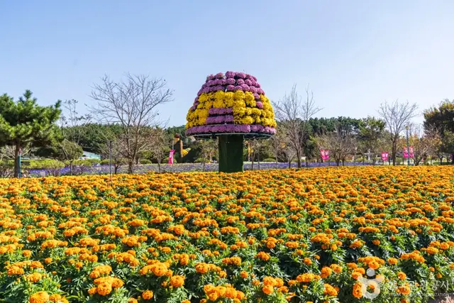 꽃지해안공원 사진
