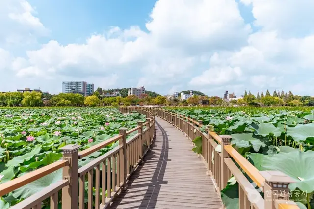덕진공원 사진