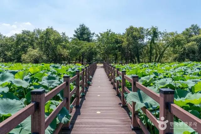 경안천 습지생태공원 사진
