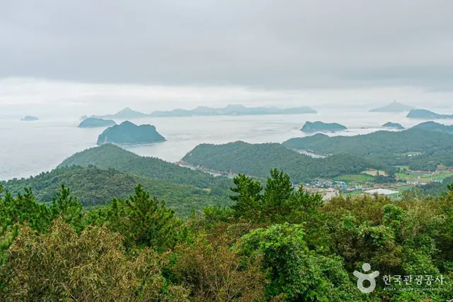 급치산전망대 사진