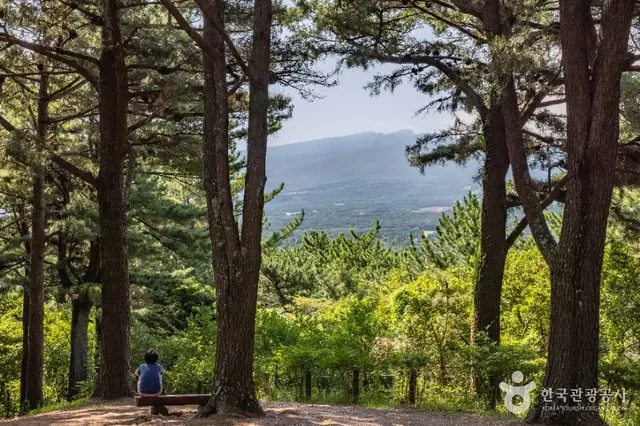 한라수목원 사진