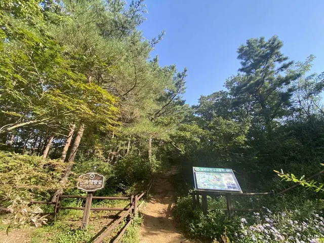 설악산 자생식물원 사진