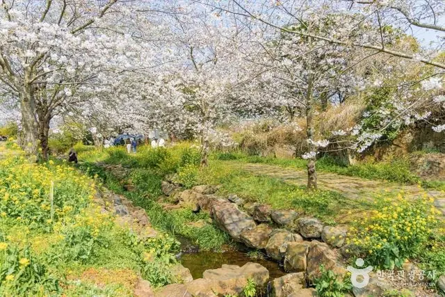 대왕수천예래생태공원 사진
