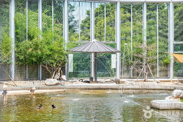 광주 우치공원 동물원 사진