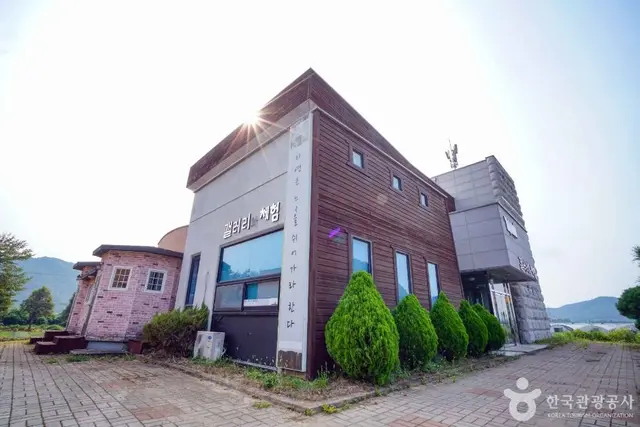 사천녹차단지 사진