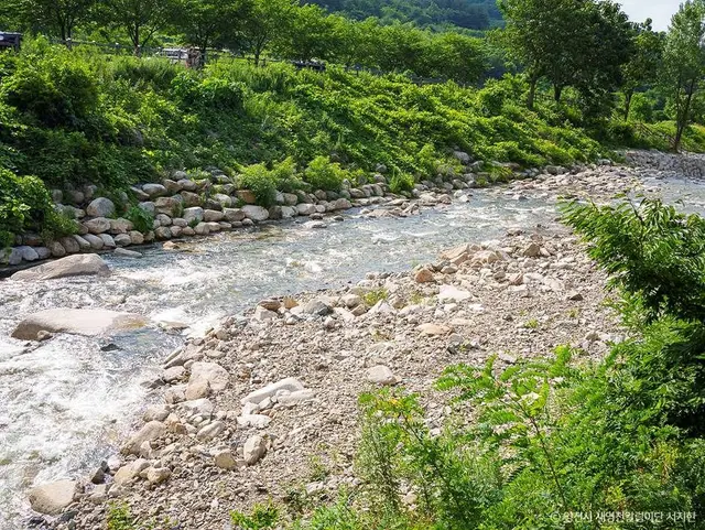 치산계곡 사진