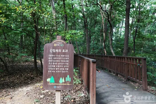 삼성산산림욕장 사진