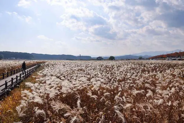 남대천연어생태공원 사진
