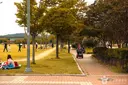 율하체육공원 사진
