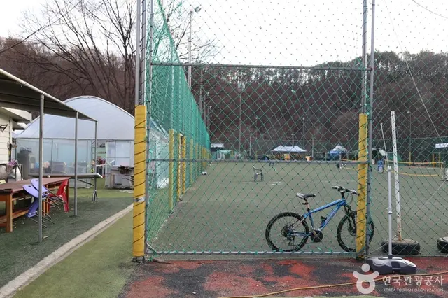 일영한씨네 사진