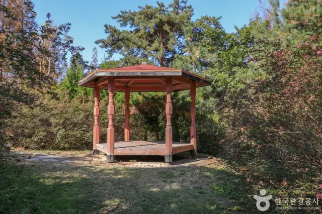 울산테마식물수목원 사진