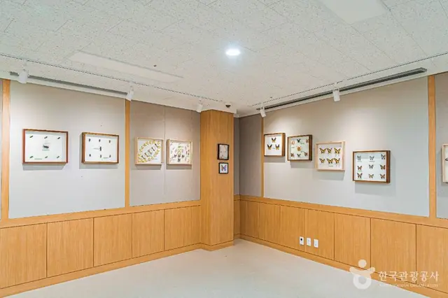 땅끝해양자연사박물관 사진