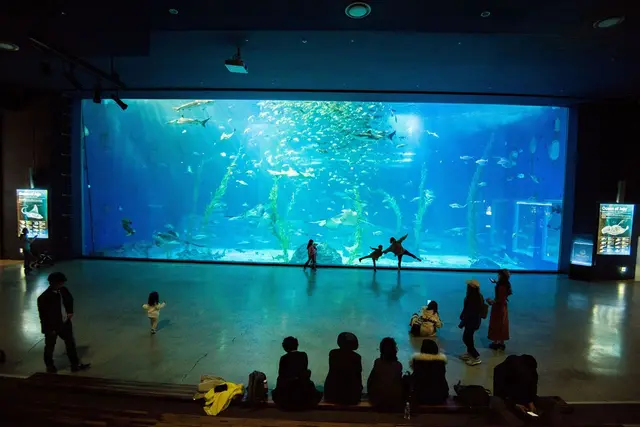 아쿠아플라넷 제주 사진