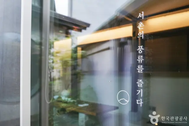 누와 사진