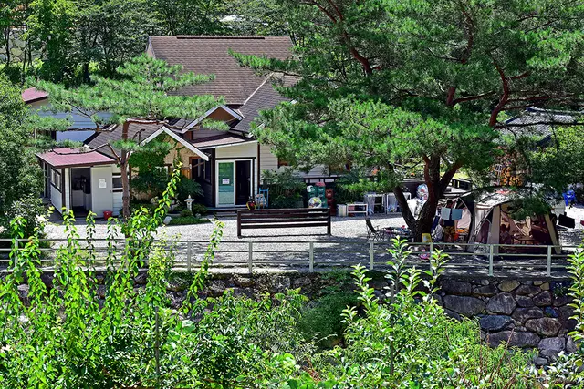 무릉도원 오토캠핑장 사진
