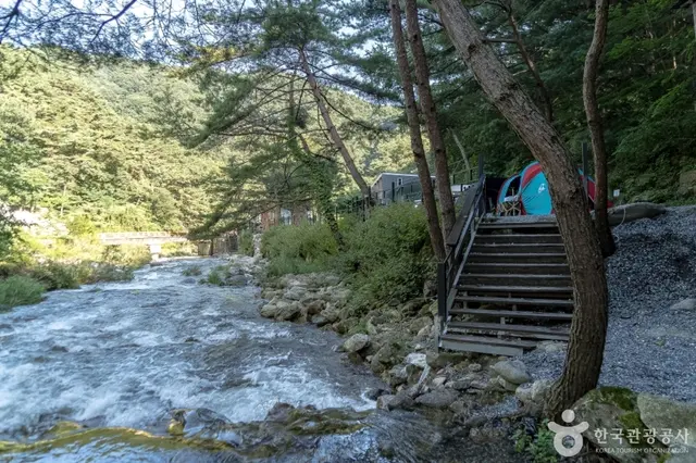 엄둔밸리 계곡펜션캠핑장 사진