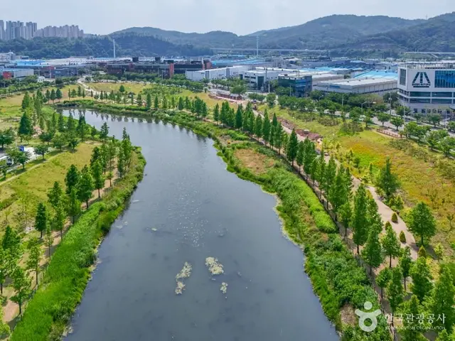 대구 세천늪테마정원 사진