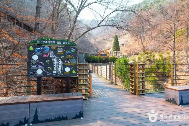 좌구산 자연휴양림 사진