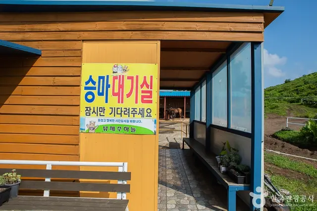 뷰 제주하늘 사진