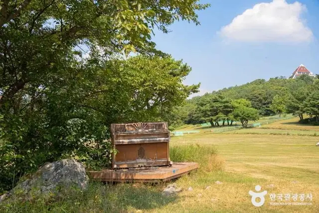 화랑의언덕 사진