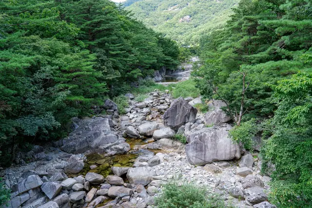 무릉계곡 사진