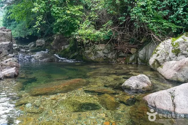 토옥동계곡 사진