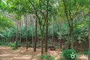 문수산산림욕장 사진