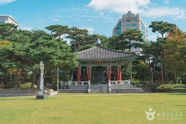 대전광역시청 시민잔디광장 사진