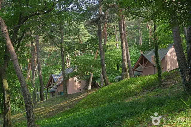 만수산자연휴양림 사진