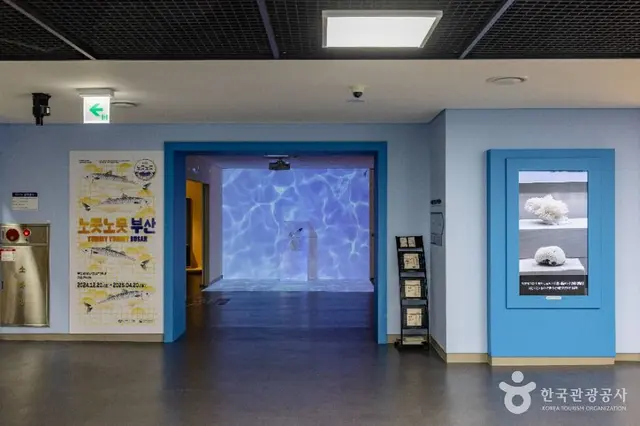 부산해양자연사박물관 사진