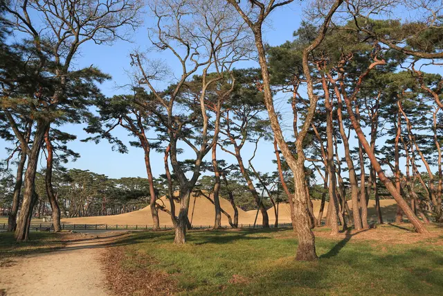 오릉 사진