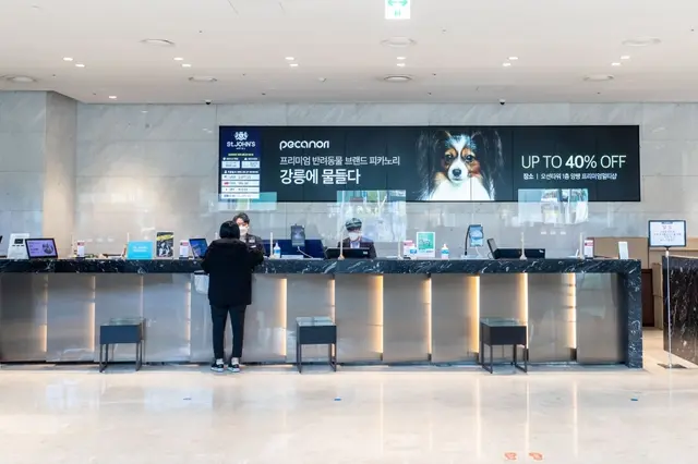 세인트존스호텔 사진