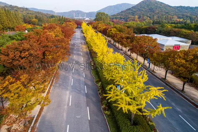 인천대공원 사진