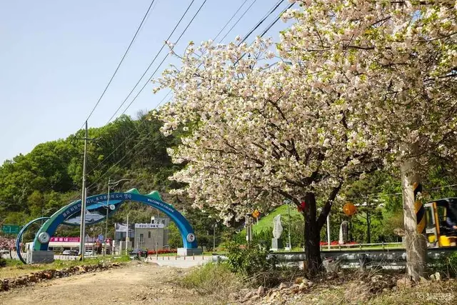 동명지수변생태공원 사진