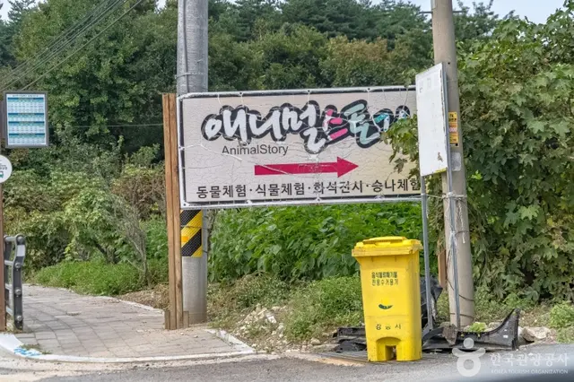 애니멀스토리 사진