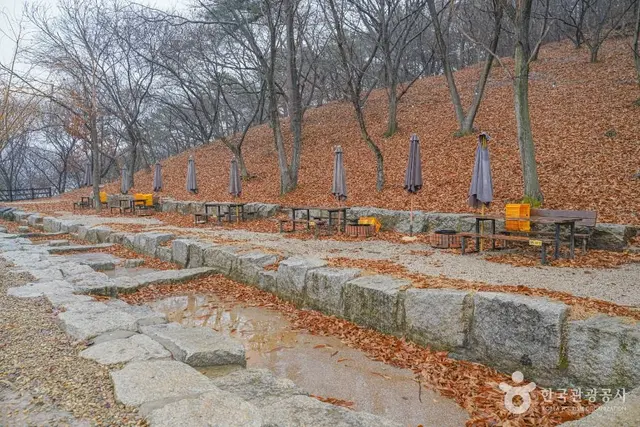 헤이리농원 사진
