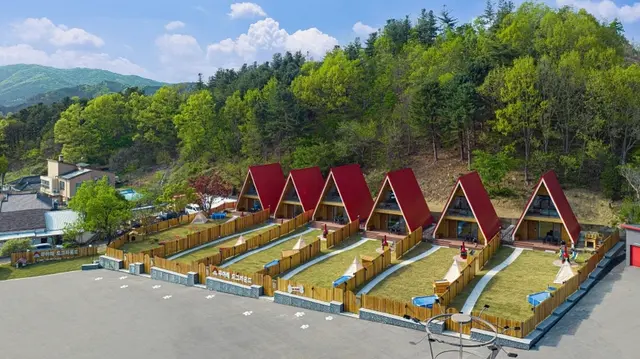 무아레 도그라운드 사진