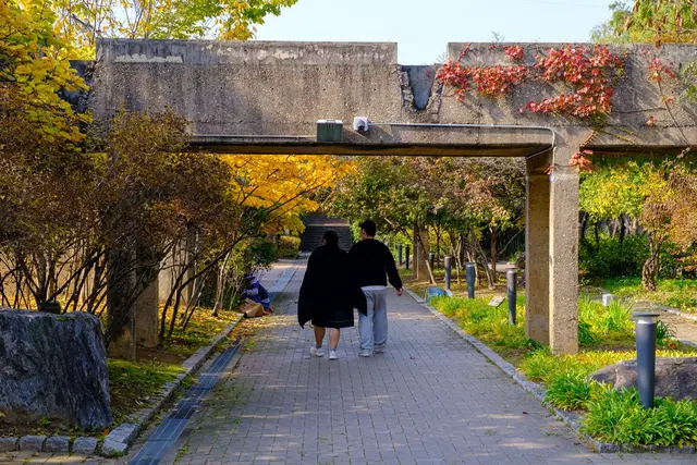 선유도공원 사진