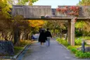 선유도공원 사진