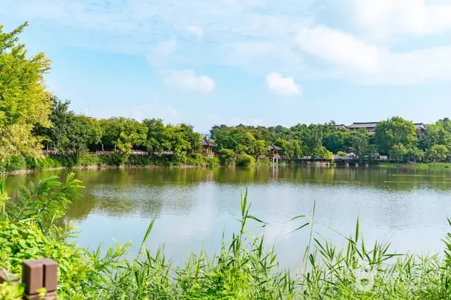 덕진공원 사진