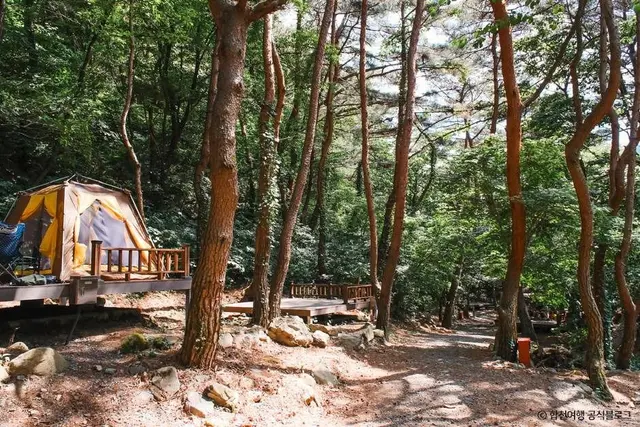 오도산자연휴양림 사진