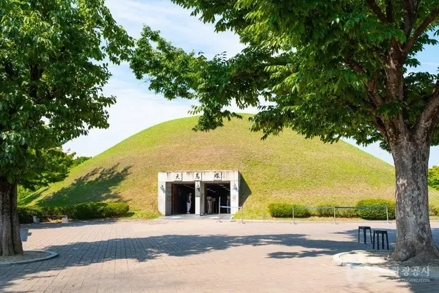 경주 대릉원 사진