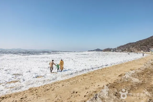 동막해변 사진