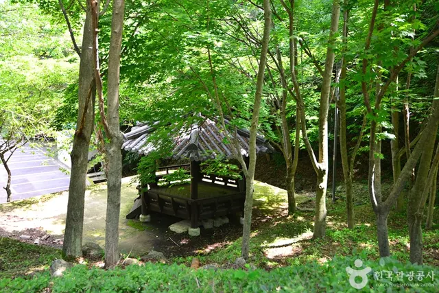 백아산자연휴양림 사진