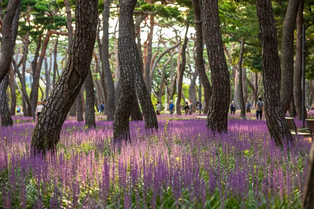 황성공원 사진