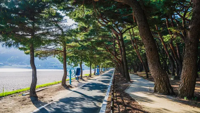 하동송림공원 사진